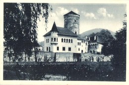 T2 Zsolna, Sillein, Zilina; Budatin Vár / Hrad / Castle - Sin Clasificación