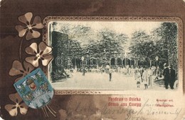 * T2/T3 Eszék, Osijek; Stadtgarten / Gradski Vrt, Verlag Victor Fritsche / City Park; Coat Of Arms, Floral Litho Frame ( - Sin Clasificación