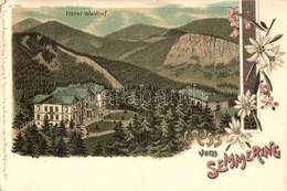 ** T2/T3 Semmering, Hotel Waldhof. Regel & Krug No. 1910. Floral, Litho  (tiny Tear) - Sin Clasificación