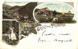 T2 Triberg, Bauernhaus, Floral Litho - Ohne Zuordnung