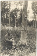 ** T2 Eltévedt Löveg A Fatörzsben, Els? Világháborús Osztrák-magyar Katonatiszt /  Bullet In The Tree, WWI K.u.K. Milita - Non Classés