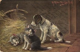 T3 Cats With Dog, C.B.St. No. 9303. S: A. Müller  (fl) - Zonder Classificatie
