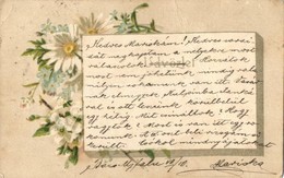 T2/T3 1901 Floral Litho Greeting Card (EK) - Non Classés