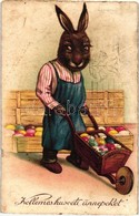 * T3 Easter, Rabbit With Eggs, Cellaro Litho (Rb) - Unclassified