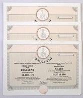 Budapest 1990. 'Chinoin' Kitöltetlen, Névre Szóló Részvény 10.000Ft-ról (16x) Szárazpecséttel, Szelvényekkel T:I,I- - Unclassified