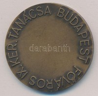 Dabóczi Mihály (1905-1980) DN 'Budapest F?város IX. Ker. Tanácsa' Br Emlékérem (40mm) T:2 - Ohne Zuordnung