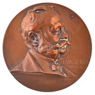 Murányi Gyula (1881-1920) DN 'Lánczy Leó V.B.T.T.' Egyoldalas Br Plakett (50mm) T:1-,2 - Ohne Zuordnung
