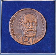 Renner Kálmán (1927-1994) 1971. 'Than Károly 1834-1908 / A Magyar Gyógyszerkönyv Centenáriumára 1971 - Magyar Gyógyszeré - Non Classificati