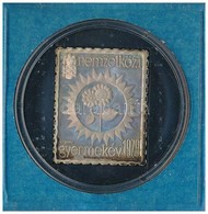 1979. 'Nemzetközi Gyermekév' Ag Bélyegérem Eredeti ÁPV Tokban (~3,41g/0.835/27x22mm) T:PP Fo.,patina - Ohne Zuordnung