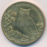 Lengyelország 2005. 2Zl Sárgaréz 'Bagoly - Bubo Bubo' T:1 Poland 2005. 2 Zlotych Brass 'Owl - Bubo Bubo' C:UNC Krause Y# - Non Classificati