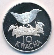 Zambia 1986. 10K Ag 'Fehérszárnyú Bolyhosfarkúmadár' T:PP Felületi Karc
Zambia 1986. 10 Kwacha Ag 'Whitewinged Flufftail - Sin Clasificación
