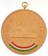 1990. 'VII. European Veterans Championships Budapest / Közrem?ködésért OVASE' Aranyozott, Zománcozott Fém érem Füllel (6 - Unclassified