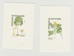 Côte D'Ivoire Ivory Coast Proof De Luxe 2004 Plantes Plants Pflanzen Fleur Flower Blume - Côte D'Ivoire (1960-...)