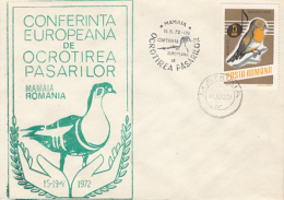 BIRDS, RED BREASTED GOOSE, FLYCATCHER STAMP, SPECIAL COVER, 1972, ROMANIA - Oies
