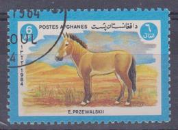 Afganistan - Asino - Esel