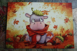 Patzker. Hippo   - Modern Postcard - Hippopotamuses