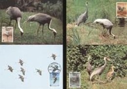 South Korea 1988, WWF, Birds, 4MAX - Grues Et Gruiformes