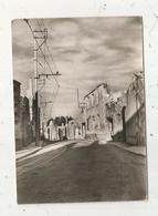 Cp , 87 , ORADOUR SUR GLANE , La Grande Rue , Vierge , Ed. Grand Palais - Oradour Sur Glane