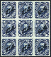 242 ARGENTINA: GJ.24, Fantastic Block Of 9 Stamps, Exceptional Quality (6 MNH And 3 Lightly Hinged), Excellent - Dienstzegels