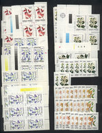410 ARGENTINA: FLOWERS ISSUE: Stock In Stockbook, Including Many Stamps And Blocks Of 4 Of The Different Values, Very Fi - Collections, Lots & Séries