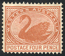 424 AUSTRALIA: SG.119a, 1902/12 4p. Bistre With Variety: Vertical Watermark, Tiny Defect On Back, Excellent Front, With  - Ungebraucht