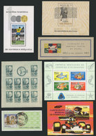 466 BRAZIL: SOUVENIR SHEETS: Lot Of S.sheets, Most MNH, One Used, Excellent General Quality, Low Start! - Other & Unclassified