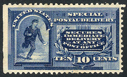 576 UNITED STATES: Sc.E2, 1888 10c. Blue, Mint Original Gum, VF Quality, Catalog Value US$500. - Special Delivery, Registration & Certified