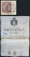728 ITALY: Interesting Passport Of 1895 For An Emigrant To Argentina, With Revenue Stamp Of 10L., Fine Quality And Very  - Sin Clasificación