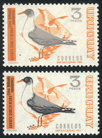 928 URUGUAY: Sc.753, 1968/70 3P. Seagull, With VARIETY: Black Color Omitted (only Orange And Gray Colors), Along A Norma - Uruguay