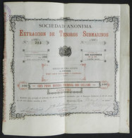 960 URUGUAY: Certificate For 400 Shares Of The Year 1891: Company That EXTRACTED UNDERWATER TREASURES, Very Nice And Rar - Uruguay