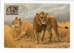 !!! CARTE MAXIMUM LIONS CACHET DE LEIPZIG DE 1954 - Maximum Cards