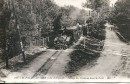 N°63527 -cpa St Palais Sur Mer -passage Du Tramway Dans La Forêt- - Strassenbahnen