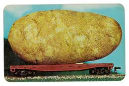 CPSM ETATS-UNIS THE IDAHO POTATO - Andere & Zonder Classificatie