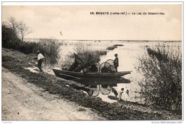 44. Bouaye. Le Lac De Grand Lieu - Bouaye