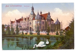 0-4603 BAD SCHMIEDEBERG, Kurhaus, Schwäne, 1917, Feldpost - Bad Schmiedeberg