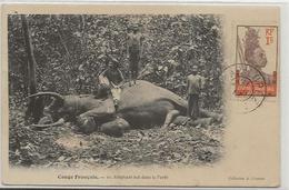 CPA Chasse Afrique Noire Chasseur éléphant Congo Français Timbrée Non Circulé - Congo Français