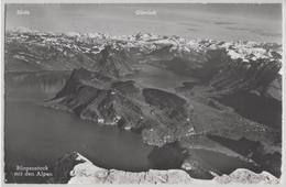 Bürgenstock Mit Den Alpen - Photo: Globetrotter - Autres & Non Classés