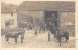 10-CAMP DE MAILLY-CARTE-PHOTO- MAGASIN DE FOURRAGES - Mailly-le-Camp