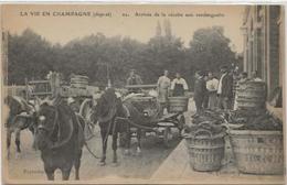 CPA Champagne Ay Métier écrite Attelages Vendangeurs - Ay En Champagne