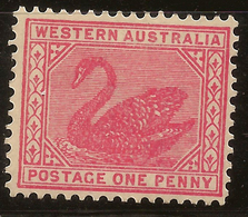 WESTERN AUSTRALIA 1902 1d Swan SG 117a HM #AME56 - Nuevos