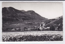 Lessoc, Avec Vue Sur Albeuve Et Neirivue,  Narcisses - Albeuve