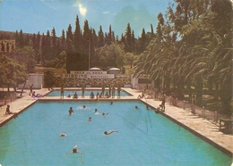 CP Algérie  - Saïda, Piscine Municipale - Saïda