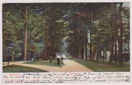 Baarn - Koningslaan - 1904 - Baarn