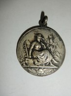 Médaille Belgique Comice De Fleron 1907 (Fisch Cie) - Professionali / Di Società