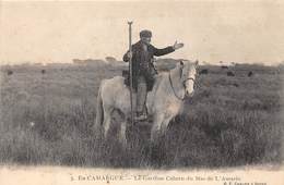 13-EN CAMARGUE- LE GARDIAN CABERN DU MAS DE L'AMAREE - Saintes Maries De La Mer