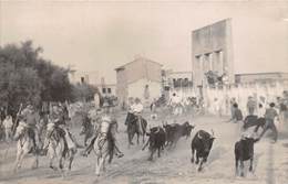 13-ARLES - CARTE-PHOTO - COURSE DE TAUREAUX - Arles