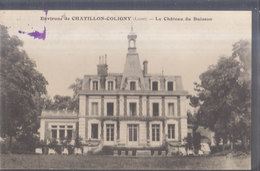 °°°°°  45 CHATILLON COLIGNY  .  CHATEAU DU BUISSON      °°°°°  ////   REF.  JUILLET 18  /  BO. 45 - Chatillon Coligny