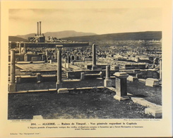 ALGERIE - N°204 - Ruines De TIMGAD Vue Générale - Collection " Pour L'Enseignement Vivant" - Colonies Française - TBE - Collections