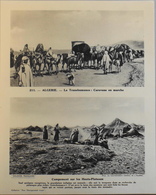 ALGERIE - N°211 - La Transhumance : La Caravane  - Collection " Pour L'Enseignement Vivant" - Colonies Française - TBE - Collections