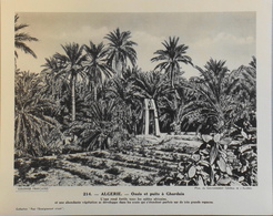 ALGERIE - N°214 - Oasis Et Puits à GHARDAÏA - Collection " Pour L'Enseignement Vivant" - Colonies Française - TBE - Collezioni